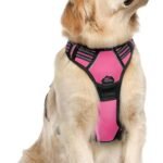 Dog Harness