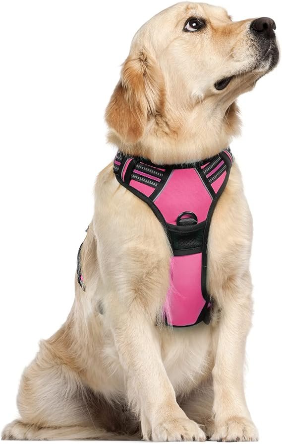 Dog Harness