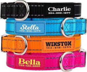 Personalized Dog Collars