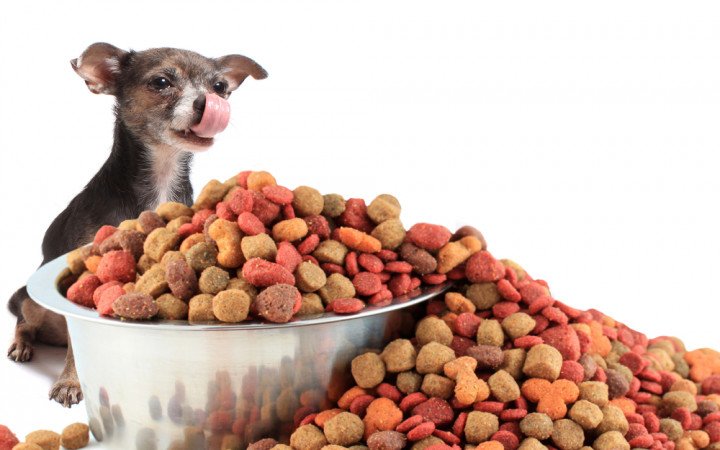 Dry Dog Food